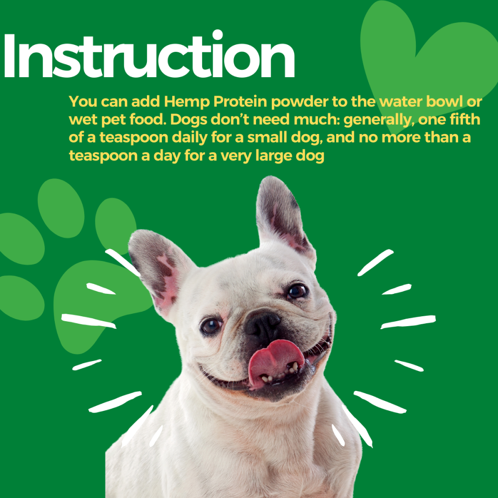 Buy Healing Leaf Hemp Protein Powder for Dogs and Cats Online Supertails