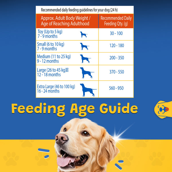 Waggies Chicken with Vitamins All Breed Adult Dog Dry Food