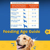 Waggies Chicken with Vitamins All Breed Adult Dog Dry Food Dogs- Dry Food Waggies