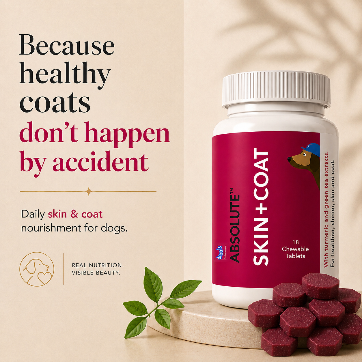 Drools Absolute Skin & Coat Supplement Tablets for Dogs Dogs-Health & Wellness Drools