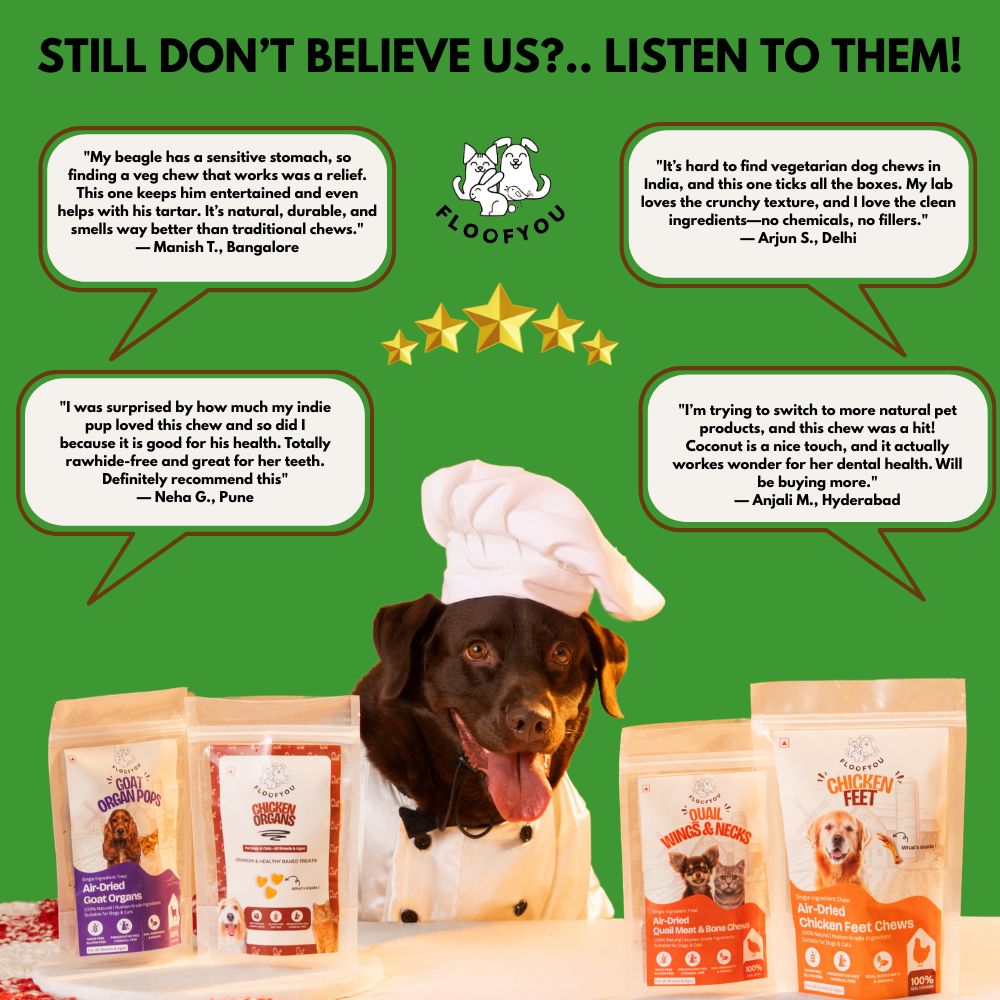 FloofYou Sun Dried Coconut Yak Churpi Chew Dogs & Cats Treat Dog Treats + Others FloofYou