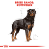 Royal Canin Rottweiler Adult Dog Dry Food Dogs- Dry Food Royal Canin