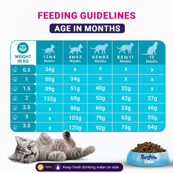 Purrfeto.com Chicken and Rice Kitten Cat Dry Food