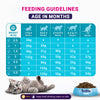 Purrfeto.com Chicken and Rice Kitten Cat Dry Food Cats- Dry food Purrfeto