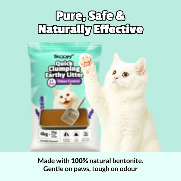 Scoopy Cat Litter | Lavender Scented | 100% Natural Indian Brown Sand (10kg)
