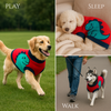 Dogobow Dino Sweater for Dogs and Cats (Red) (Get a Bow Free) Both-Clothing & Accessories Dogobow Dropship