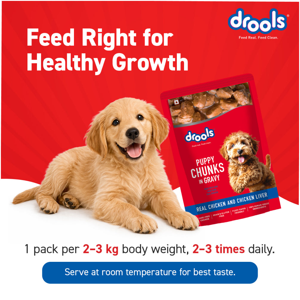 Drools Real Chicken & Chicken Liver Chunks in Gravy Puppy Dog Wet Food