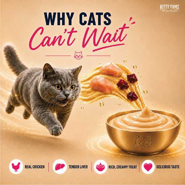 Kitty Yums Tuna & Bonito Creamy Cat Treats