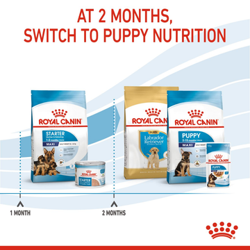 Royal Canin Maxi Starter Dog Dry Food