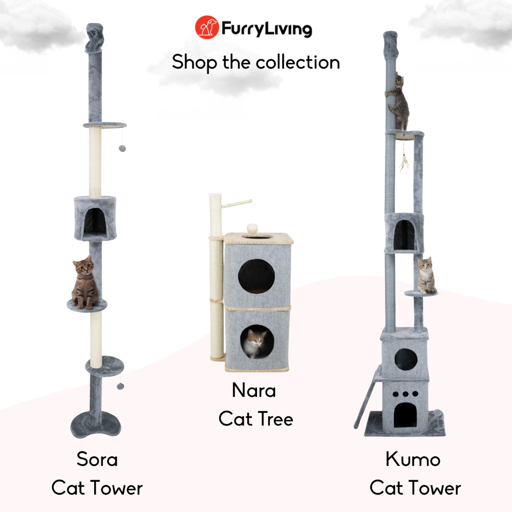 FurryLiving Sora Adjustable Floor to Ceiling with Scratching Posts, Condo and Hanging Toy Cat Tree Cats-Toys FurryLiving Dropship