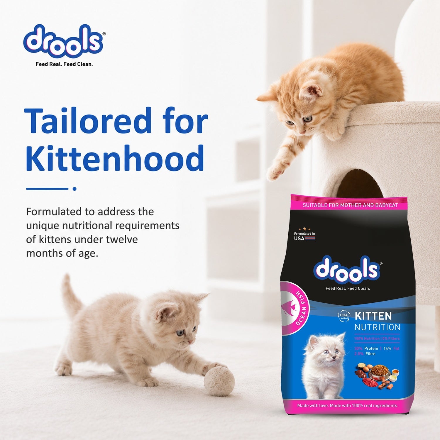 Drools Ocean Fish Kitten Cat Dry Food Cats- Dry food Drools