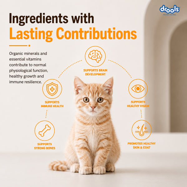 Drools Real Chicken Kitten Dry Food