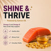 Signature Grain Zero Tuna Adult Cat Dry Food For All Breed Cats- Dry food Signature