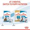 Royal Canin Maxi Starter Dry Dog Food (Limited Shelf Life) (Buy 1 Get 1) Dogs- Dry Food Royal Canin