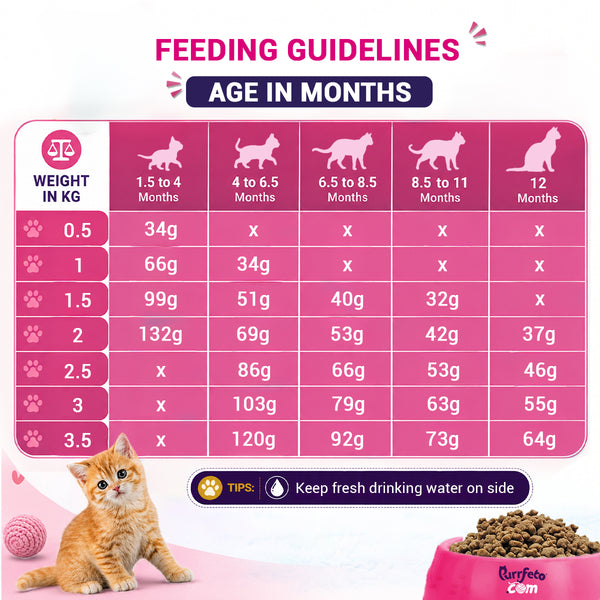 Purrfeto.com Ocean Fish Kitten Cat Dry Food