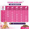 Purrfeto.com Ocean Fish Kitten Cat Dry Food Cats- Dry food Purrfeto