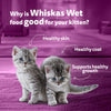 Whiskas Junior Salmon in Jelly Flavour Kitten (2-12 months) Cat Wet Food Cats-Wet Food Whiskas