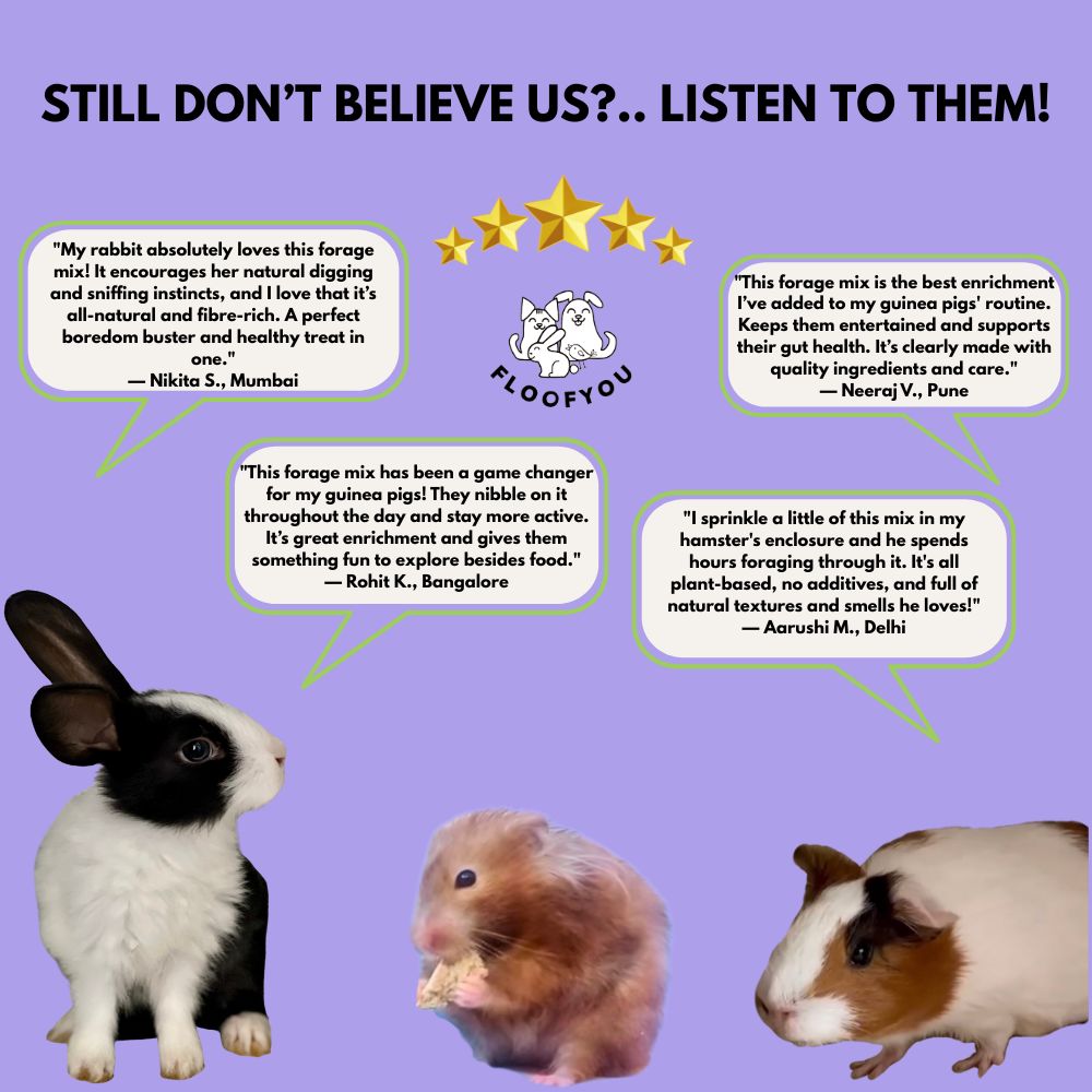 FloofYou Fibre Rich Forage Mix Rabbit Treats Rabbits FloofYou