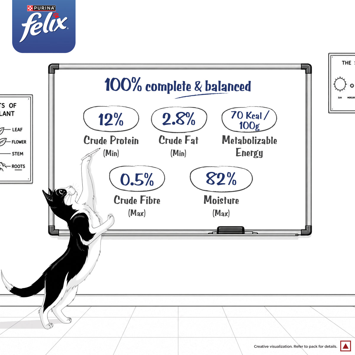 Purina Felix with Chicken in Jelly Complete and Balanced Adult Cat Wet Food Cats-Wet Food Felix