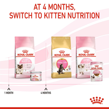 Royal Canin Mother & Babycat Cat Dry Food