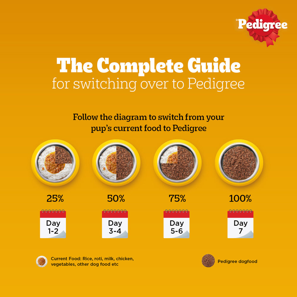 Pedigree PRO Large Breed Puppy Dry Food, Pedigree Chicken Liver Gravy Adult Dog Wet Food Combo