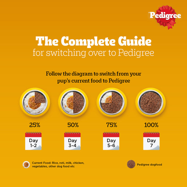 Pedigree PRO Active Adult Large Breed Dry Food, Pedigree Chicken Liver Gravy Dogs Wet Food Combo