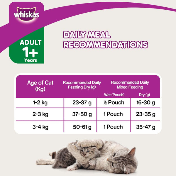 Whiskas Ocean Fish and Tuna Flavour Adult Cat Dry Food Combo