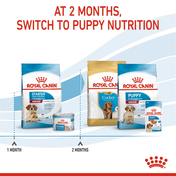 Buy Royal Canin Medium Starter Dry Food for Medium Breed Dog and