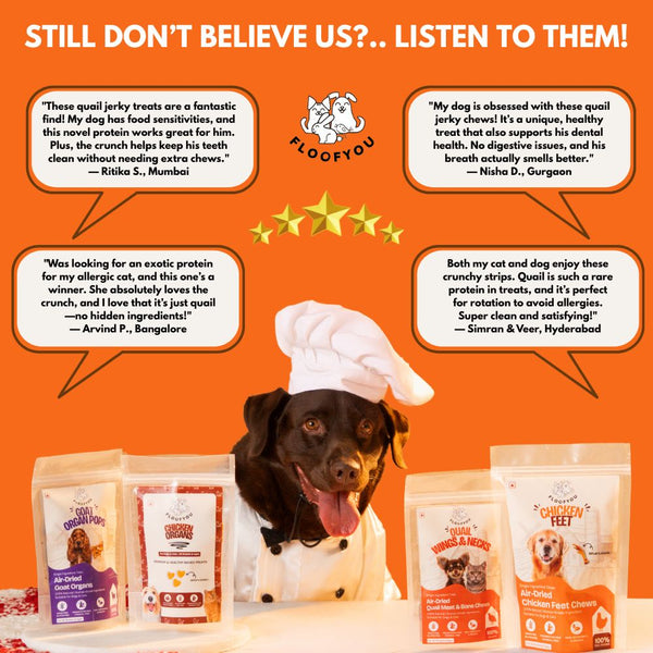 FloofYou Air Dried Quail Wings and Neck Chews Dog and Cats Treats