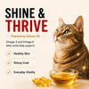 Signature Grain Zero Salmon Adult Cat Dry Food For All Breed Cats- Dry food Signature
