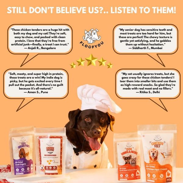 FloofYou Air Dried Chewy Chicken Tender Dogs & Cats Treat