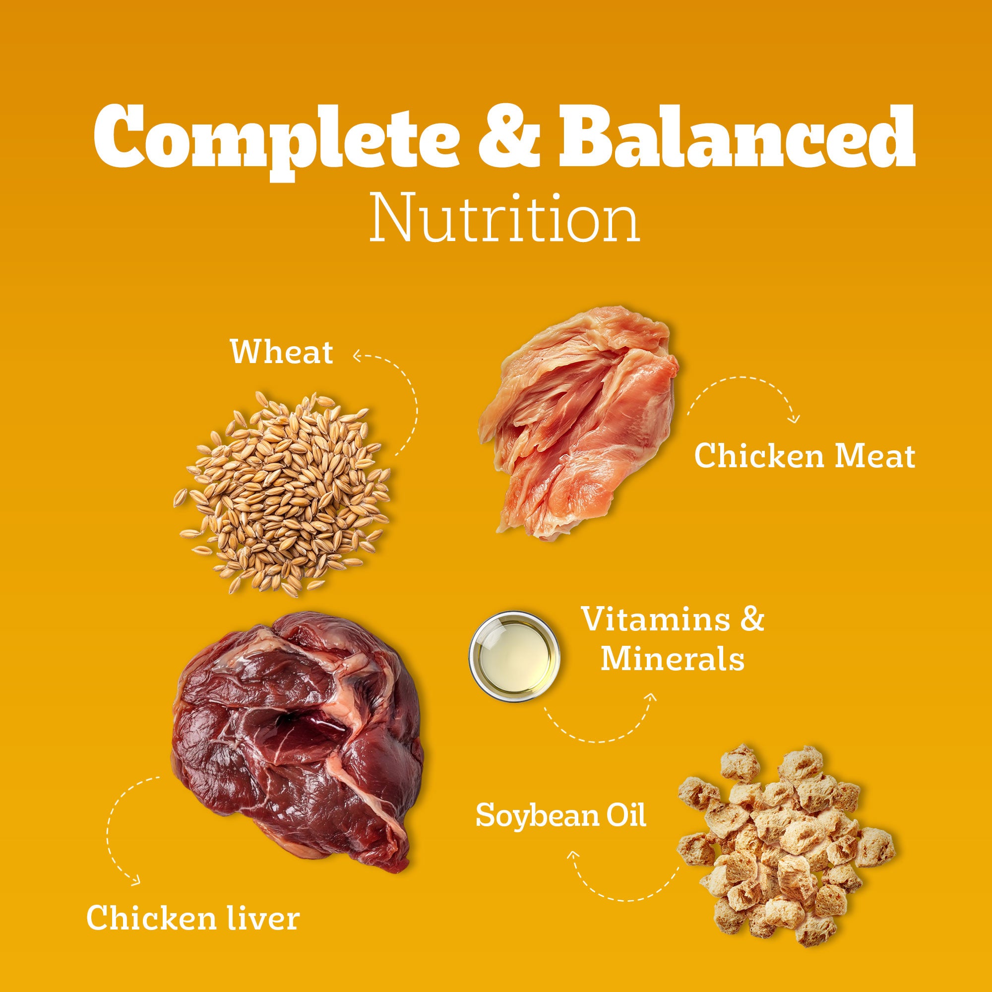 Pedigree Chicken and Liver Chunks in Gravy Adult Dog Wet Food (70g) Dogs-Wet Food Pedigree