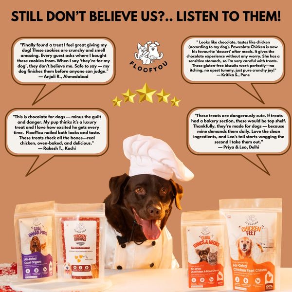 Floofyou Pawcolate Chicken Chocolate Safe Oven Baked Cookie Dog and Cat Treats