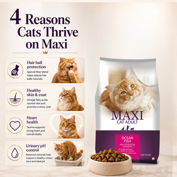 Maxi Adult Ocean Fish Adult Dry Cat Food