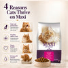 Maxi Adult Ocean Fish Adult Dry Cat Food Cats- Dry food Maxi Adult