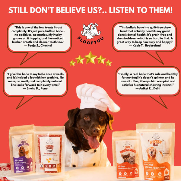 FloofYou Air Dried Buffalo Marrow Bone Chew Dog Treats