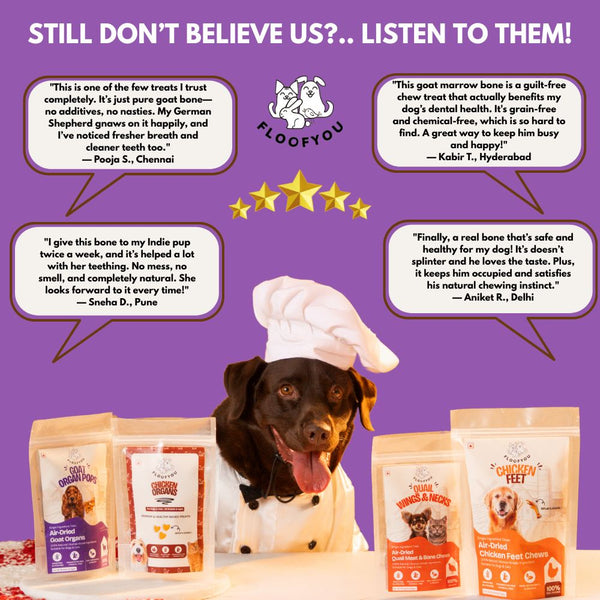 FloofYou Air Dried Goat Marrow Bone Chew Dog Treats
