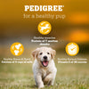 Pedigree Meat & Milk Puppy Dog Dry Food Dogs- Dry Food Pedigree