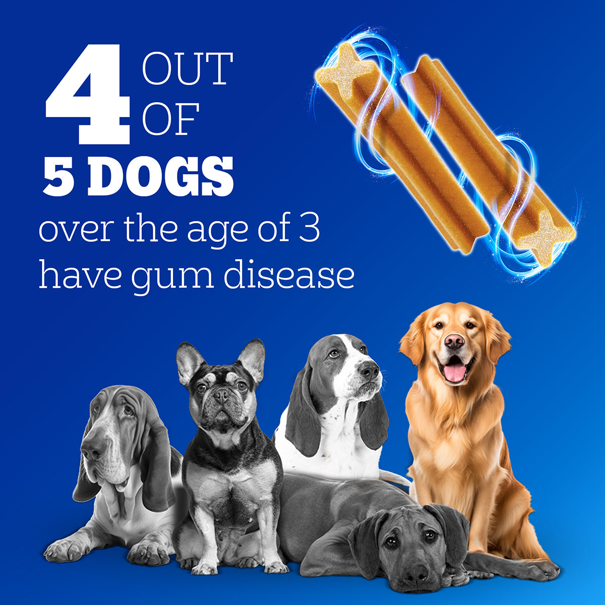 Pedigree Dentastix Oral Care for Adult (Small Breed of 5 to 10 kg) Dog Treats Dog Treats + Others Pedigree