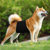KUTKUT Diapers for Male Dogs (Black) Dogs-Health & Wellness KUTKUT Dropship