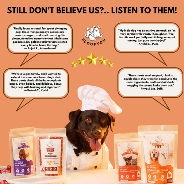 Floofyou Mango Papaya Vegan Oven Baked Cookie Dog Treats