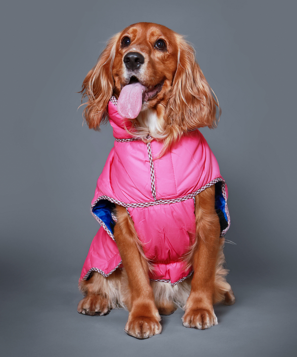 Pet Set Go Wind Sheeter Jackets for Dogs (Pink)