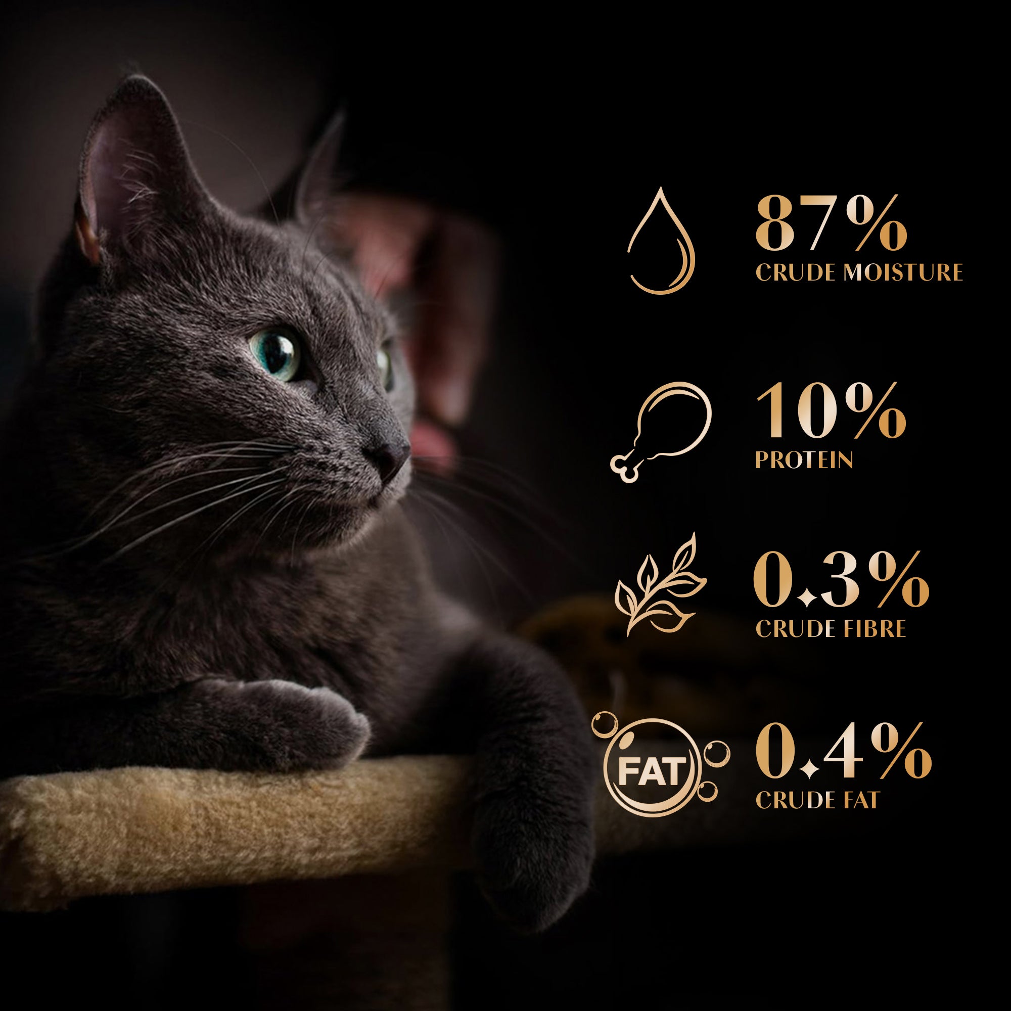 Sheba Fish with Dry Skipjack Premium Cat Wet Food Cats-Wet Food Sheba