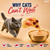 Kitty Yums Crab & Chicken Creamy Cat Treats Cats-Treats & Others Kitty Yums