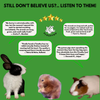 FloofYou Premium Timothy Hay for Small Animals Rabbits FloofYou