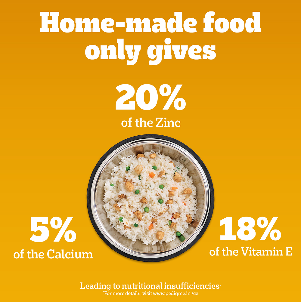 Pedigree Adult Dog Food Combo |Chicken & Vegetables Dry & Chicken & Liver Wet Dogs- Dry Food Pedigree