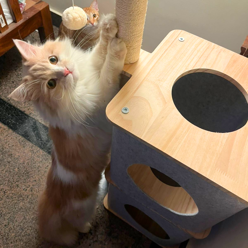 FurryLiving Nara Dual-Level Felt Condo with Scratch Pole & Hanging Toy Cat Tree Cats-Toys FurryLiving Dropship