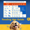 Waggies Chicken with Vitamins All Breed Puppy Dog Dry Food Dogs- Dry Food Waggies