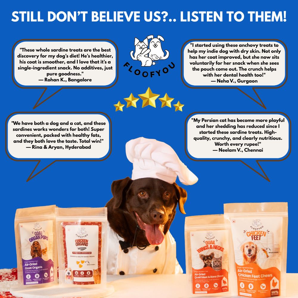 FloofYou Air Dried Whole Sardines Fish Dog & Cat Treats Dog Treats + Others FloofYou