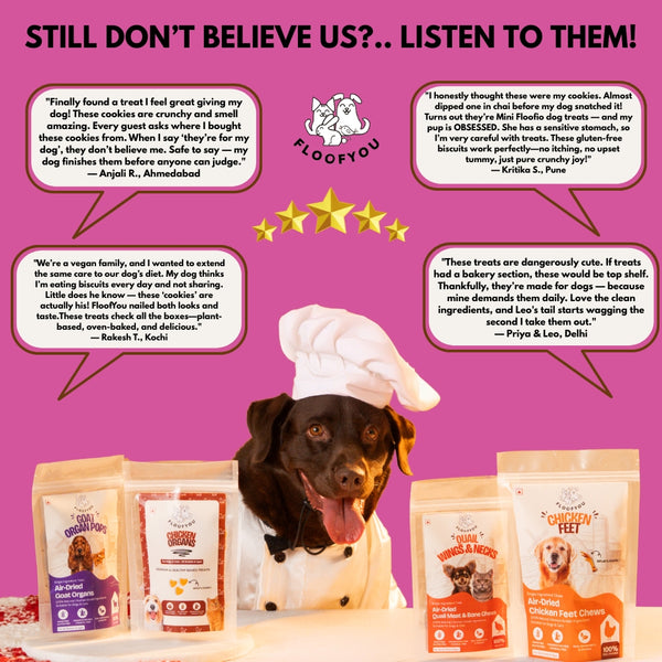 Floofyou Mini Floofio Beetroot Vegan Oven Baked Cookie Dog Treats